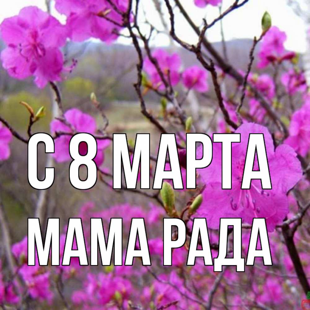 Открытка на каждый день с именем, Мама-Рада С 8 марта международный женский день Прикольная открытка с пожеланием онлайн скачать бесплатно 