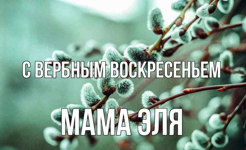 Открытка на каждый день с именем, Мама-Эля С вербным воскресеньем верба Прикольная открытка с пожеланием онлайн скачать бесплатно 