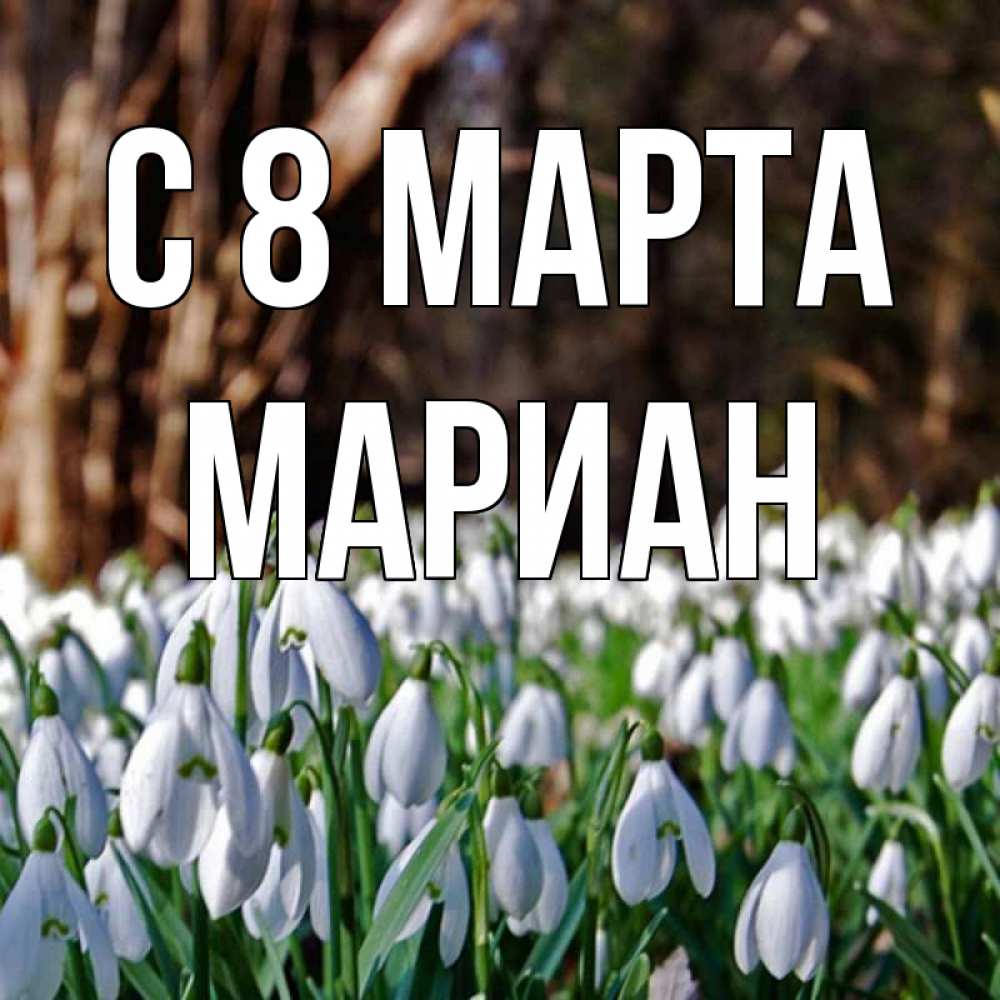 Открытка на каждый день с именем, Мариан С 8 МАРТА с подснежниками 1 Прикольная открытка с пожеланием онлайн скачать бесплатно 