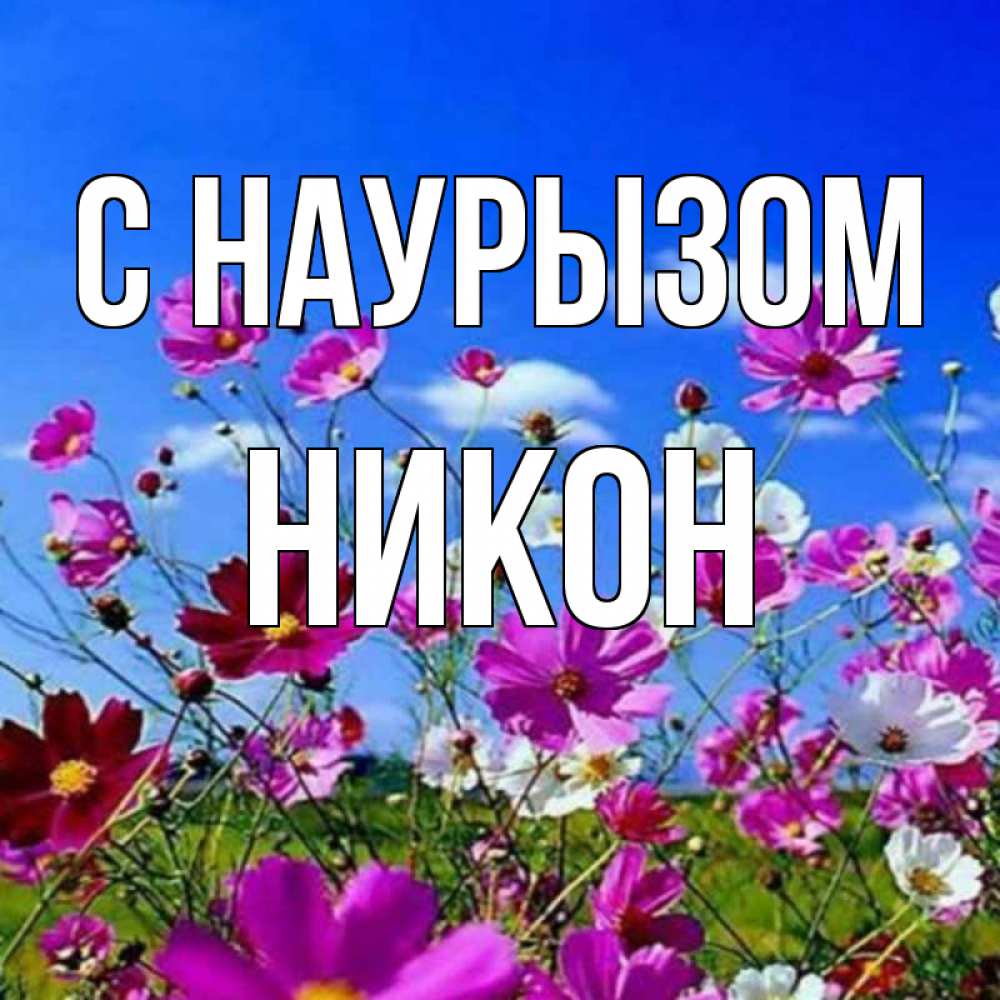 Открытка на каждый день с именем, Никон С наурызом цветы Прикольная открытка с пожеланием онлайн скачать бесплатно 