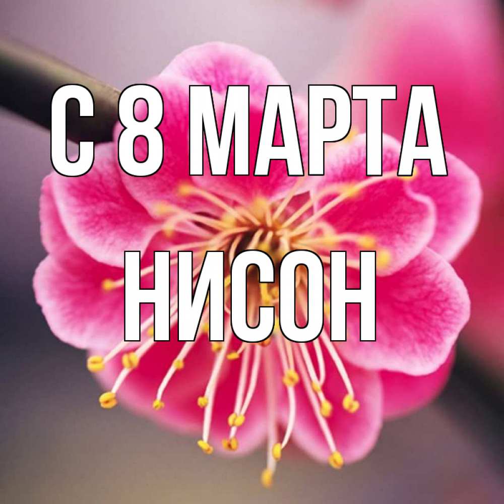 Открытка на каждый день с именем, Нисон С 8 марта цветы Прикольная открытка с пожеланием онлайн скачать бесплатно 