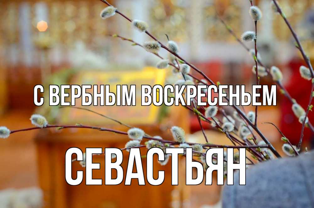Открытка на каждый день с именем, Севастьян С вербным воскресеньем верба Прикольная открытка с пожеланием онлайн скачать бесплатно 