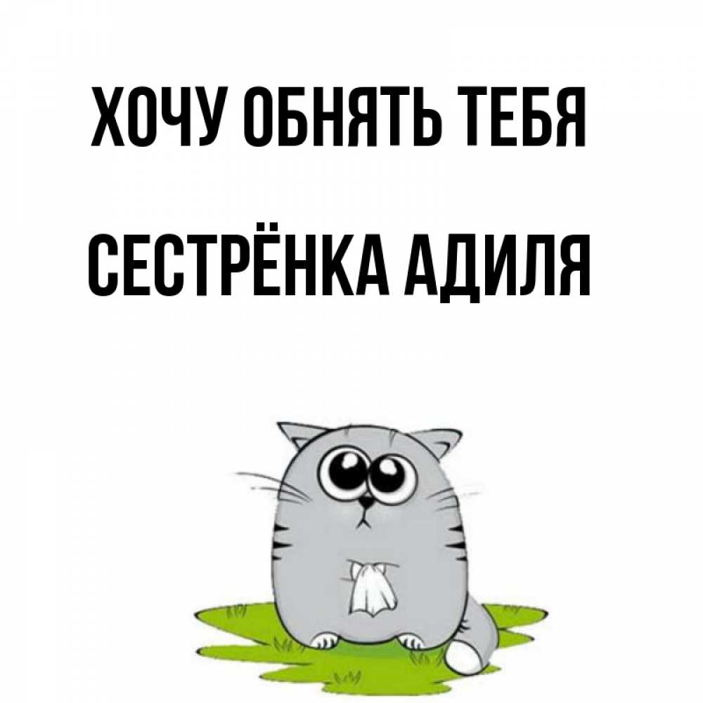 Открытка на каждый день с именем, Сестрёнка-Адиля Хочу обнять тебя котик теребит платочек сидя на травке Прикольная открытка с пожеланием онлайн скачать бесплатно 