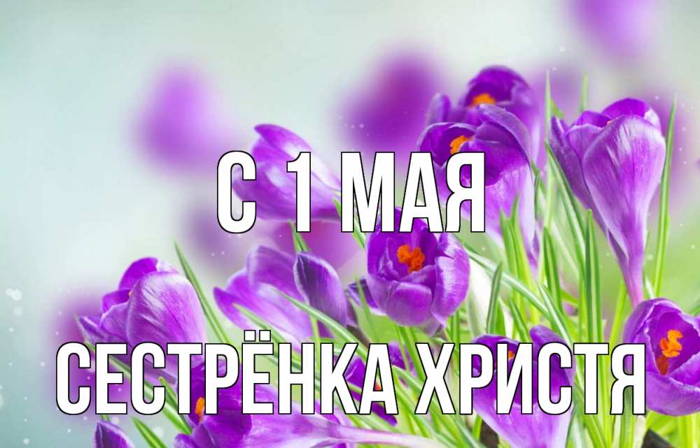 Открытка на каждый день с именем, Сестрёнка-Христя С 1 мая 1 мая Прикольная открытка с пожеланием онлайн скачать бесплатно 