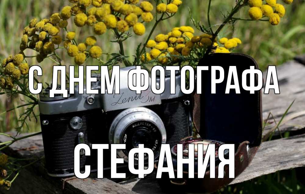 Открытка на каждый день с именем, Стефания С днем фотографа с днем фотографа Прикольная открытка с пожеланием онлайн скачать бесплатно 