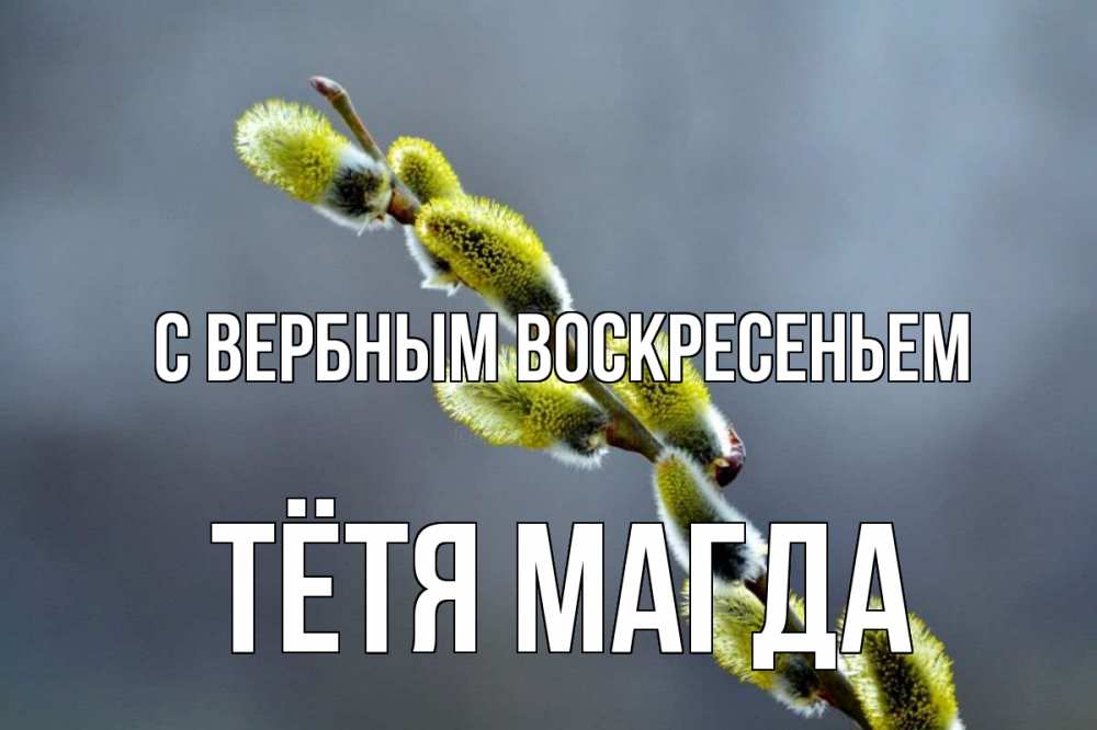 Открытка на каждый день с именем, Тётя-Магда С вербным воскресеньем верба Прикольная открытка с пожеланием онлайн скачать бесплатно 