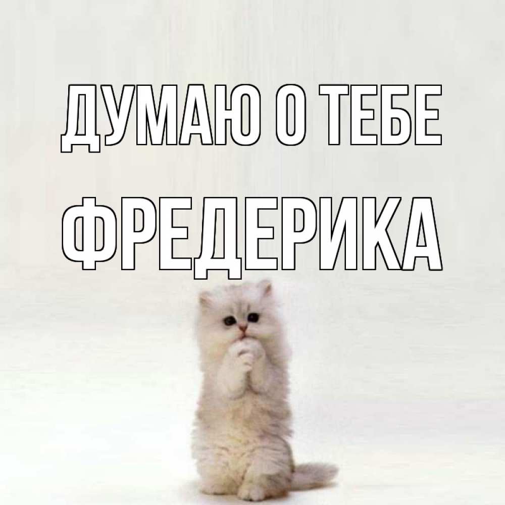 Открытка на каждый день с именем, Фредерика Думаю о тебе кот стоит на задних лапах Прикольная открытка с пожеланием онлайн скачать бесплатно 