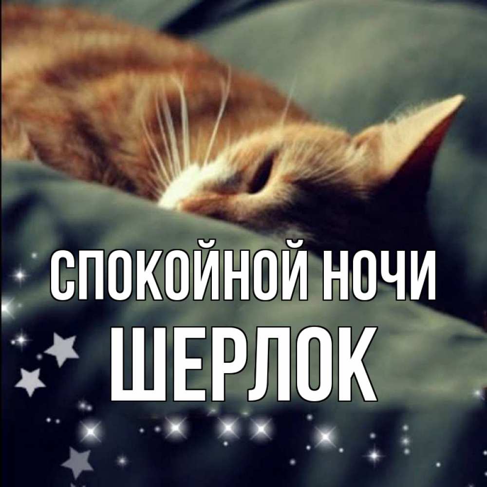 Открытка на каждый день с именем, Шерлок Спокойной ночи кроватка Прикольная открытка с пожеланием онлайн скачать бесплатно 