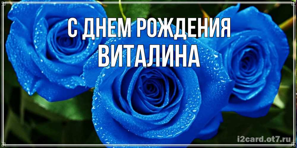 Открытка на каждый день с именем, виталина С днем рождения розы с синим цветом Прикольная открытка с пожеланием онлайн скачать бесплатно 