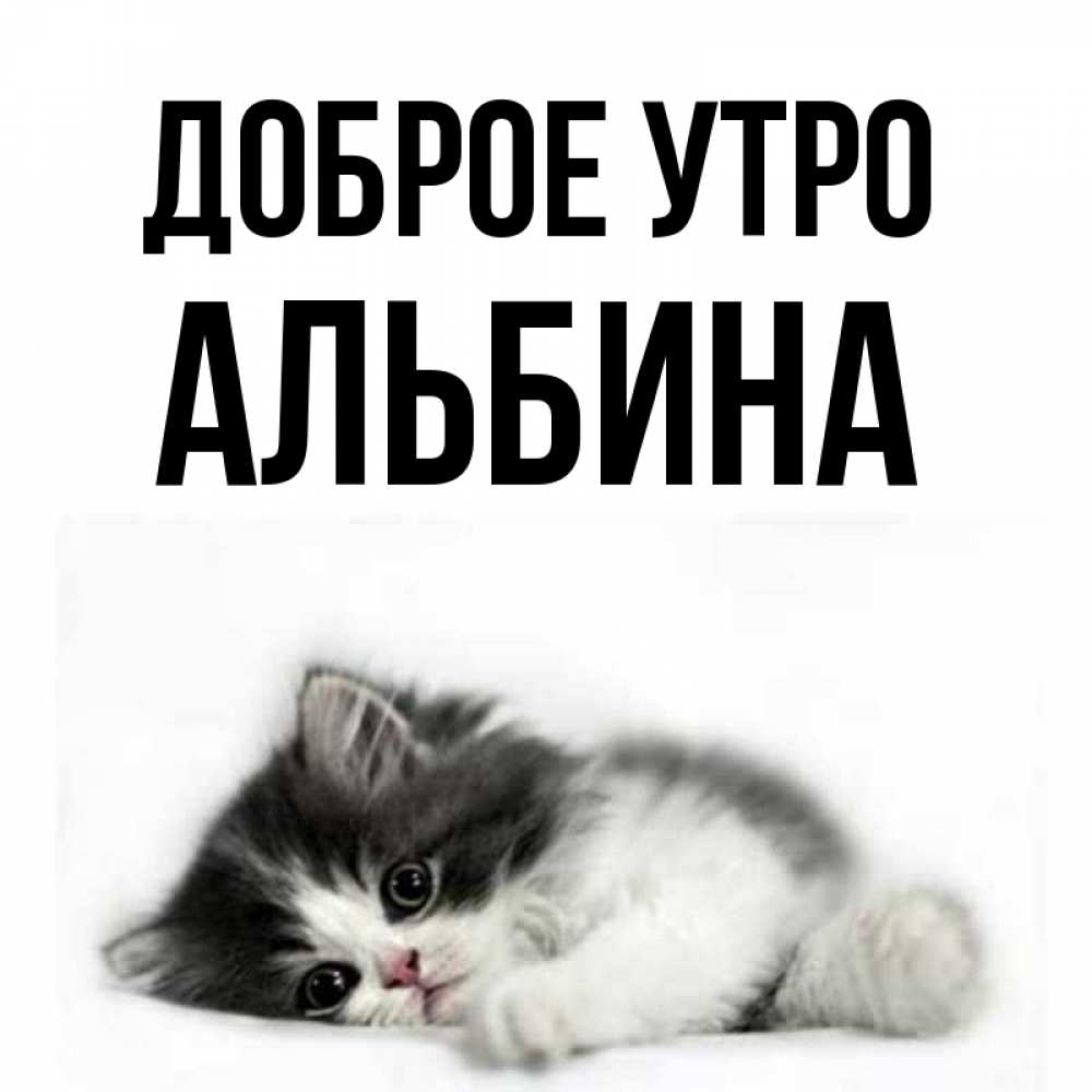 Доброе утро альбиночка картинки