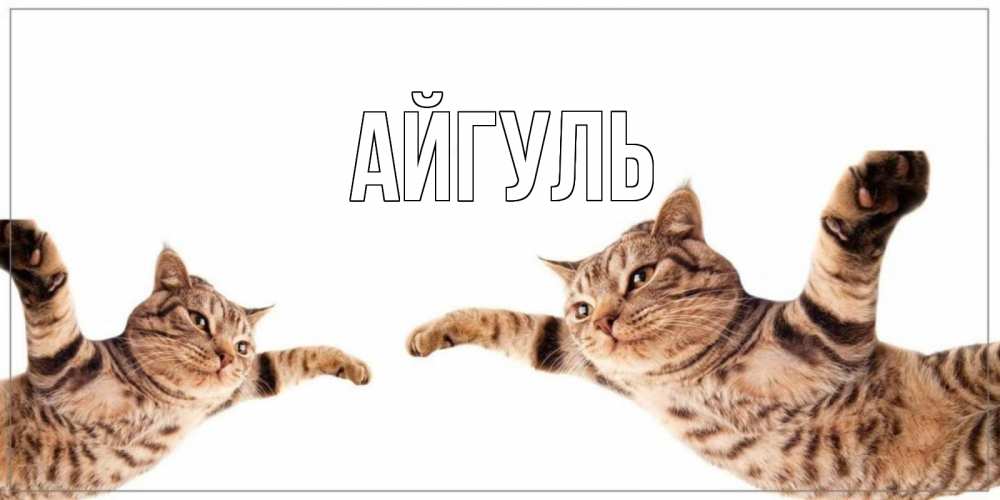 Открытка на каждый день с именем, Айгуль Главная хорошего дня Прикольная открытка с пожеланием онлайн скачать бесплатно 