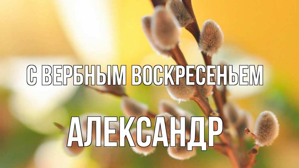 Открытка на каждый день с именем, Александр С вербным воскресеньем верба 1 Прикольная открытка с пожеланием онлайн скачать бесплатно 