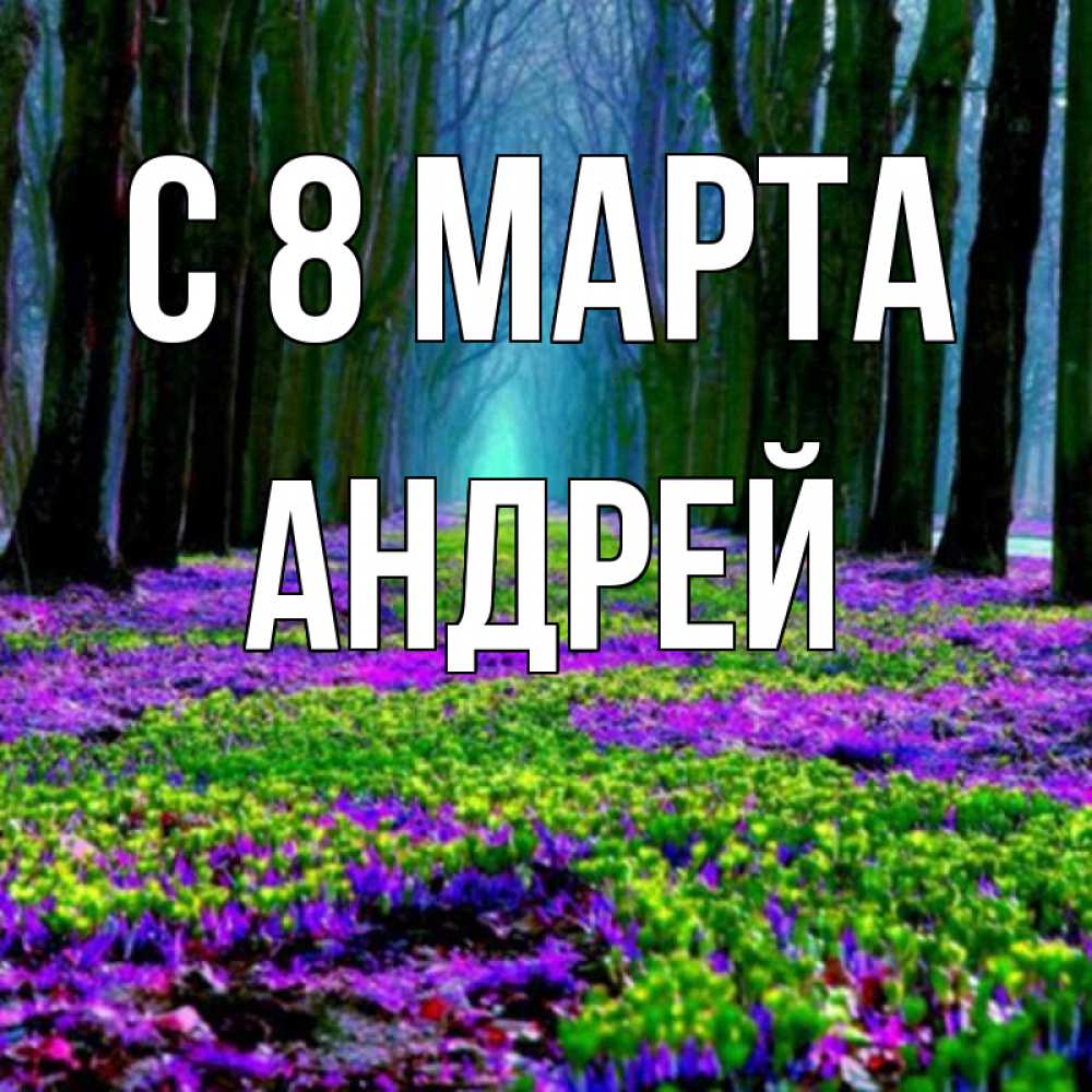 Открытка на каждый день с именем, Андрей С 8 МАРТА фиолетовые цветы в лесу 1 Прикольная открытка с пожеланием онлайн скачать бесплатно 