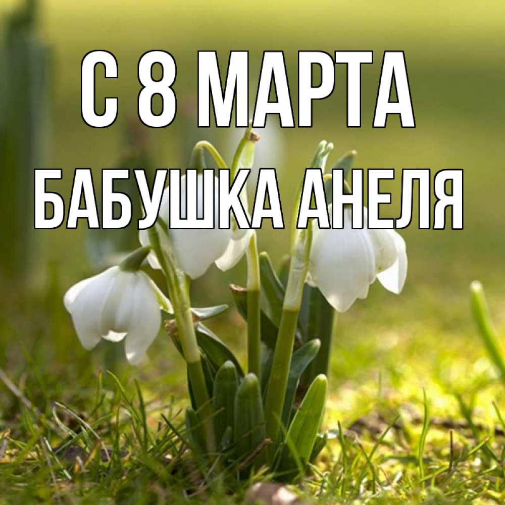 Открытка на каждый день с именем, Бабушка-Анеля С 8 МАРТА ранние цветы 2 Прикольная открытка с пожеланием онлайн скачать бесплатно 
