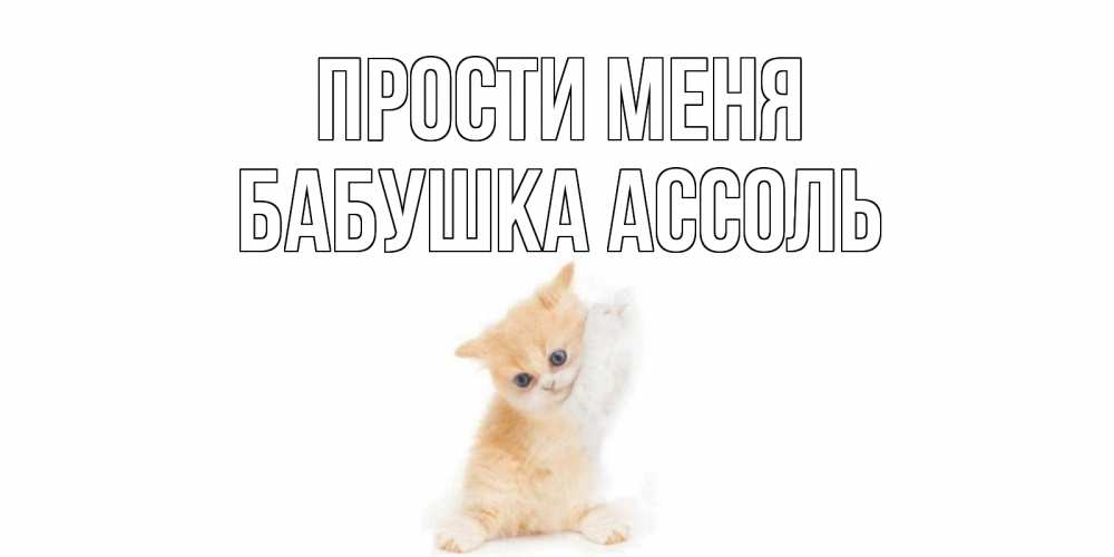 Открытка на каждый день с именем, Бабушка-Ассоль Прости меня кот Прикольная открытка с пожеланием онлайн скачать бесплатно 