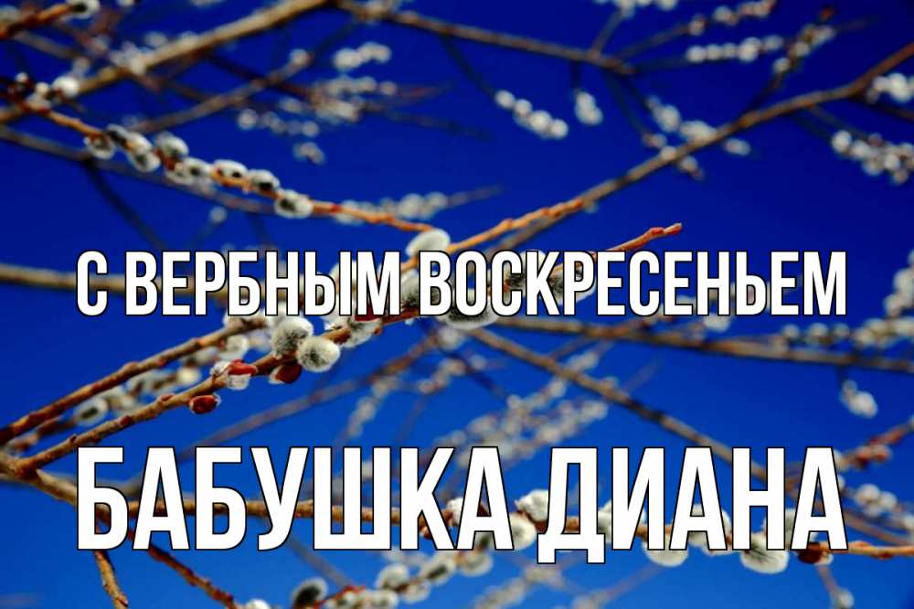 Открытка на каждый день с именем, Бабушка-Диана С вербным воскресеньем верба Прикольная открытка с пожеланием онлайн скачать бесплатно 
