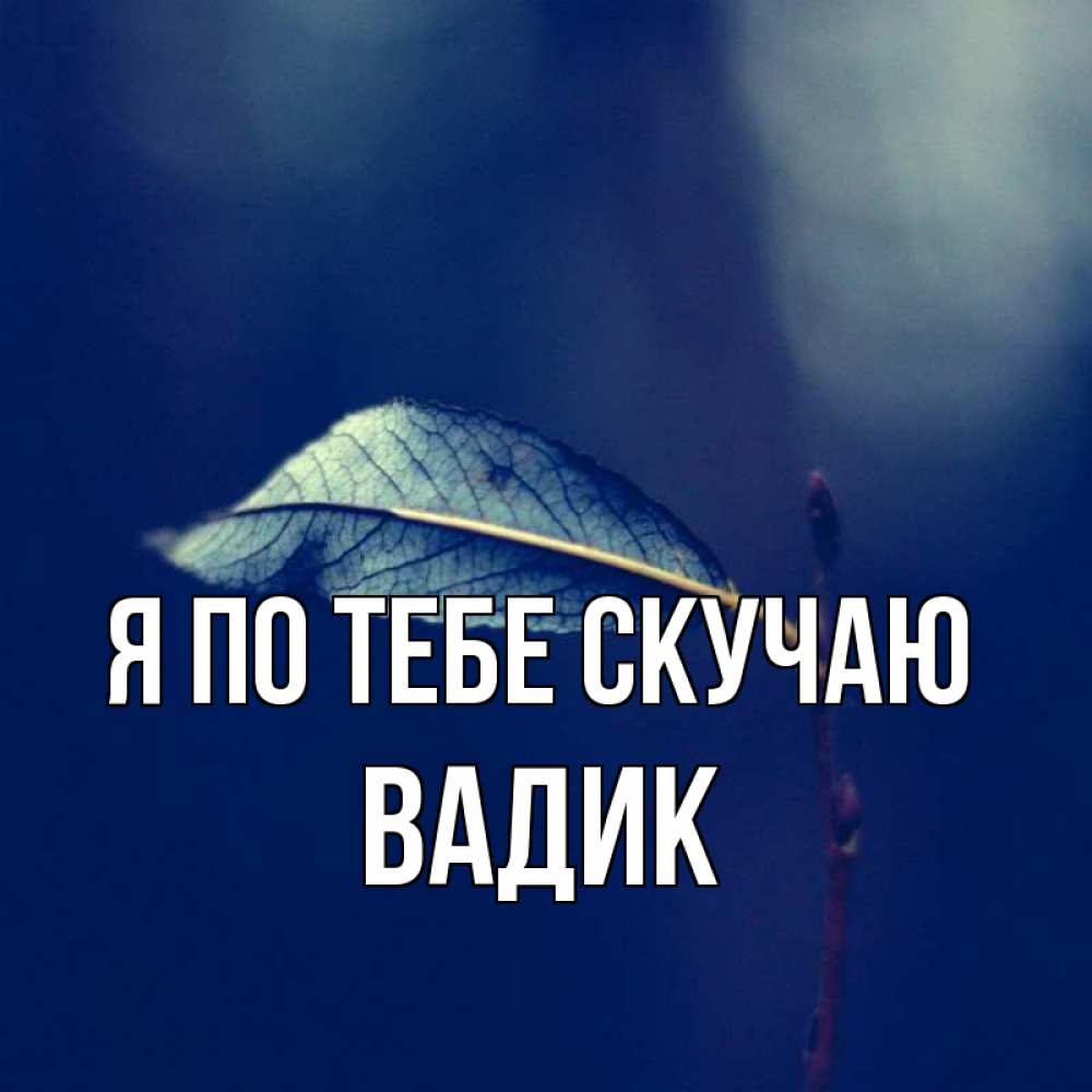 Открытка на каждый день с именем, Вадик Я по тебе скучаю одна ветка 1 Прикольная открытка с пожеланием онлайн скачать бесплатно 