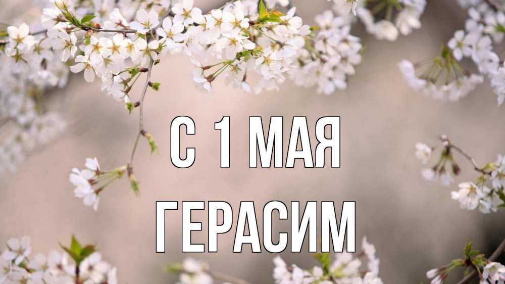 Открытка на каждый день с именем, Герасим С 1 мая С 1 мая Прикольная открытка с пожеланием онлайн скачать бесплатно 