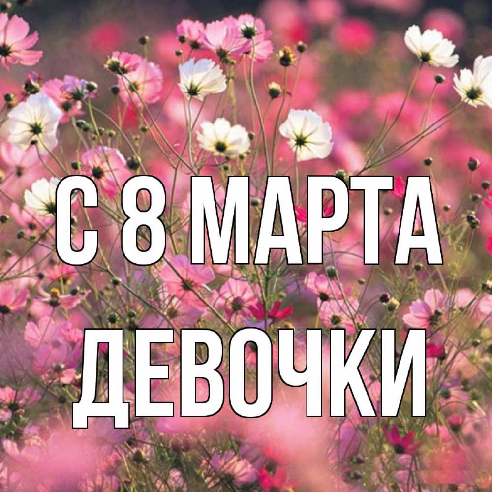 Картинка С 8 МАРТА, ДЕВОЧКИ