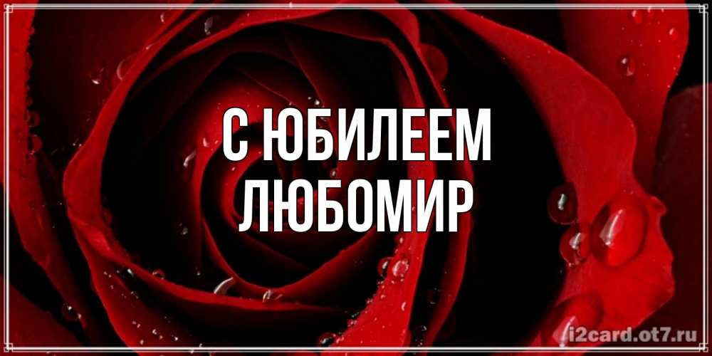 Открытка на каждый день с именем, Любомир С юбилеем крупная бордовая роза Прикольная открытка с пожеланием онлайн скачать бесплатно 