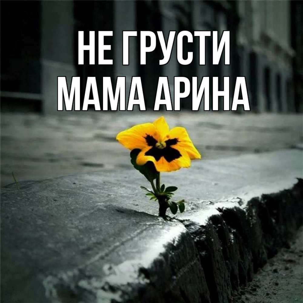 Открытка на каждый день с именем, Мама-Арина Не грусти не сдавайся Прикольная открытка с пожеланием онлайн скачать бесплатно 