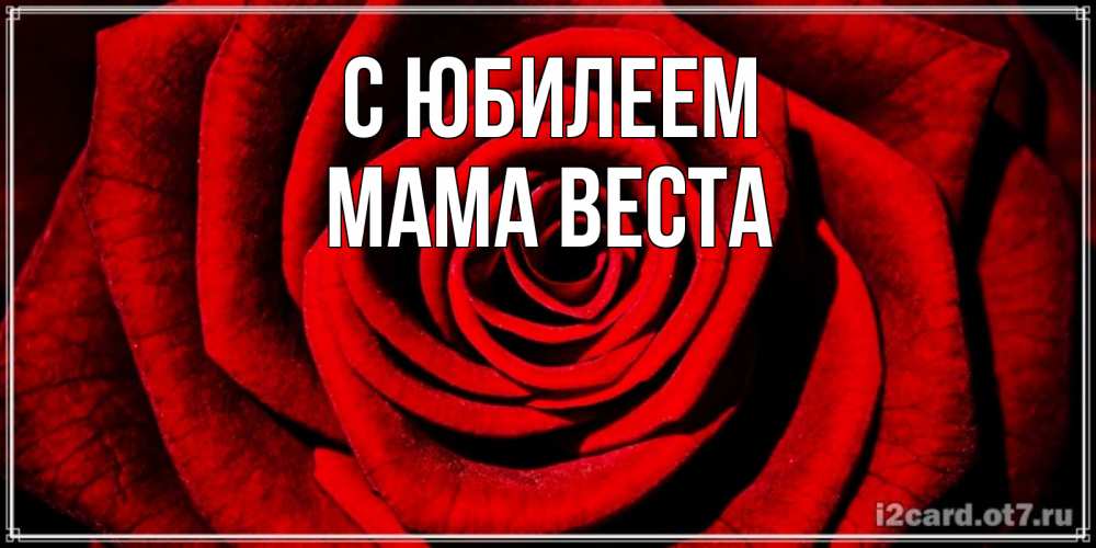 Открытка на каждый день с именем, Мама-Веста С юбилеем алая роза Прикольная открытка с пожеланием онлайн скачать бесплатно 