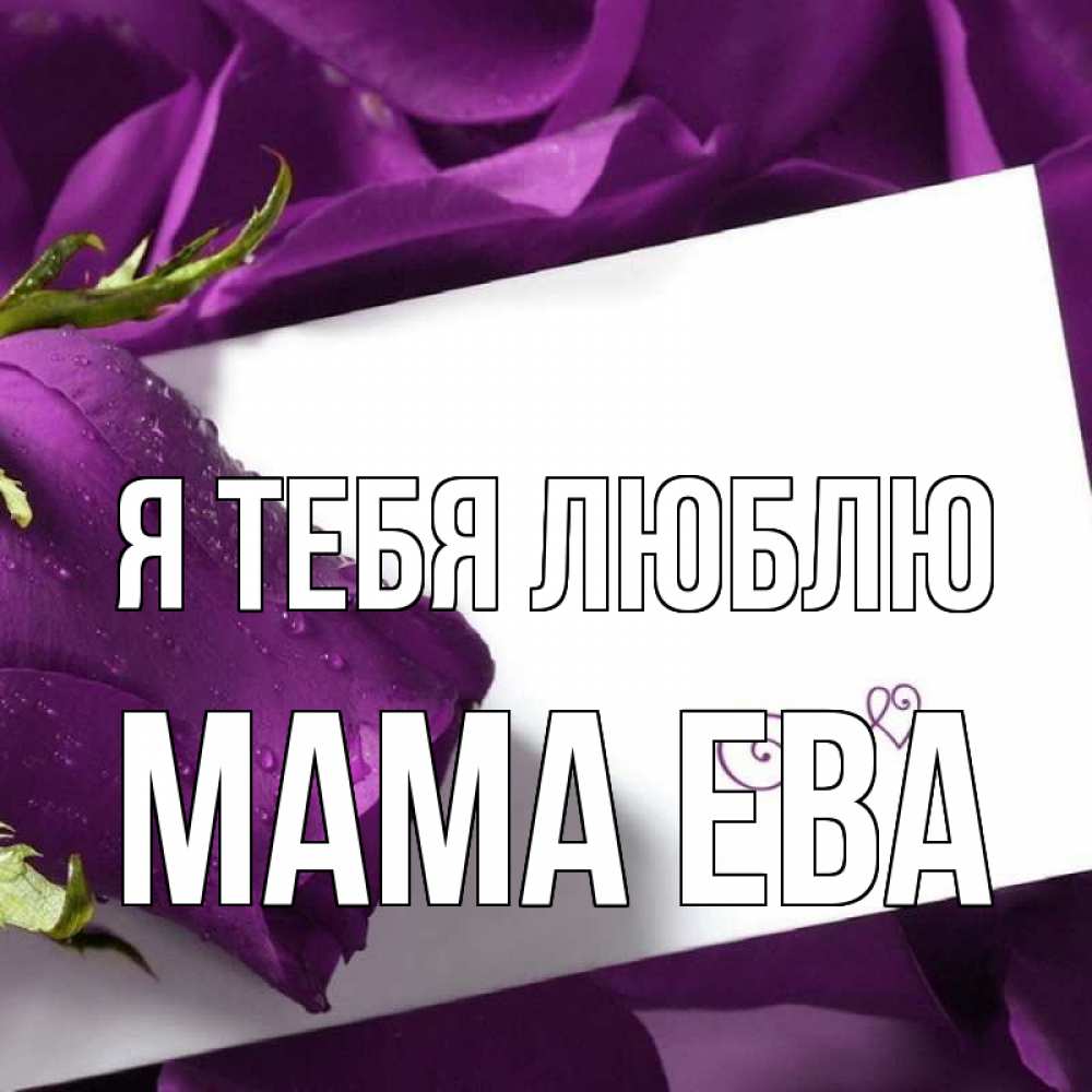 Открытка на каждый день с именем, Мама-Ева Я тебя люблю роза Прикольная открытка с пожеланием онлайн скачать бесплатно 