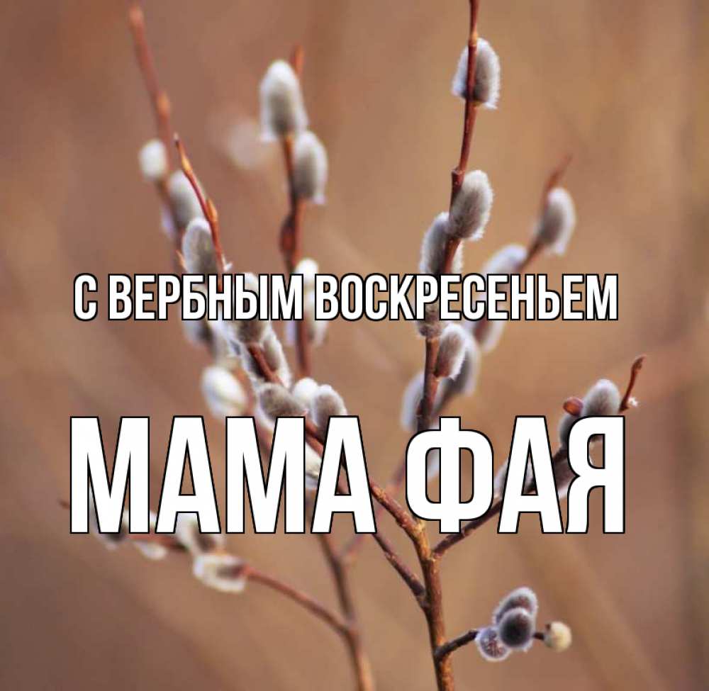 Открытка на каждый день с именем, Мама-Фая С вербным воскресеньем верба Прикольная открытка с пожеланием онлайн скачать бесплатно 