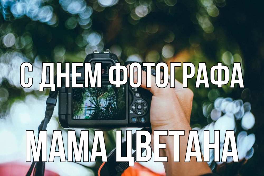 Открытка на каждый день с именем, Мама-Цветана С днем фотографа с днем фотографа Прикольная открытка с пожеланием онлайн скачать бесплатно 