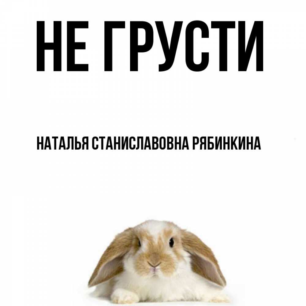 Открытка на каждый день с именем, НАТАЛЬЯ-СТАНИСЛАВОВНА-РЯБИНКИНА Не грусти коричнево белый заяц с большими ушками Прикольная открытка с пожеланием онлайн скачать бесплатно 