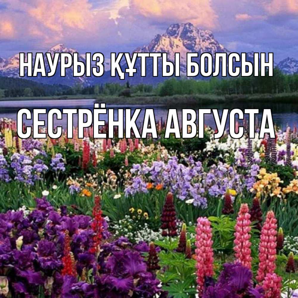 Открытка на каждый день с именем, Сестрёнка-Августа Наурыз құтты болсын наурыз Прикольная открытка с пожеланием онлайн скачать бесплатно 