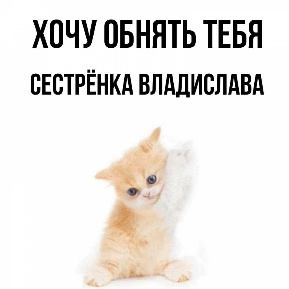 Открытка на каждый день с именем, Сестрёнка-Владислава Хочу обнять тебя я хочу очень скорее обнимаешек Прикольная открытка с пожеланием онлайн скачать бесплатно 