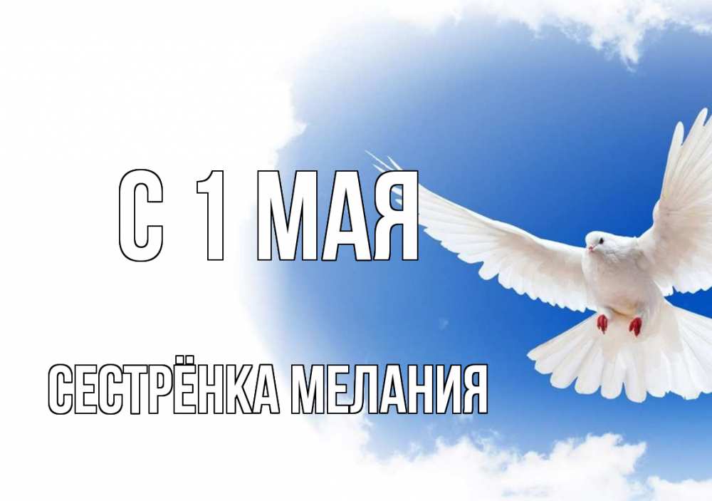 Открытка на каждый день с именем, Сестрёнка-Мелания С 1 мая С 1 мая Прикольная открытка с пожеланием онлайн скачать бесплатно 