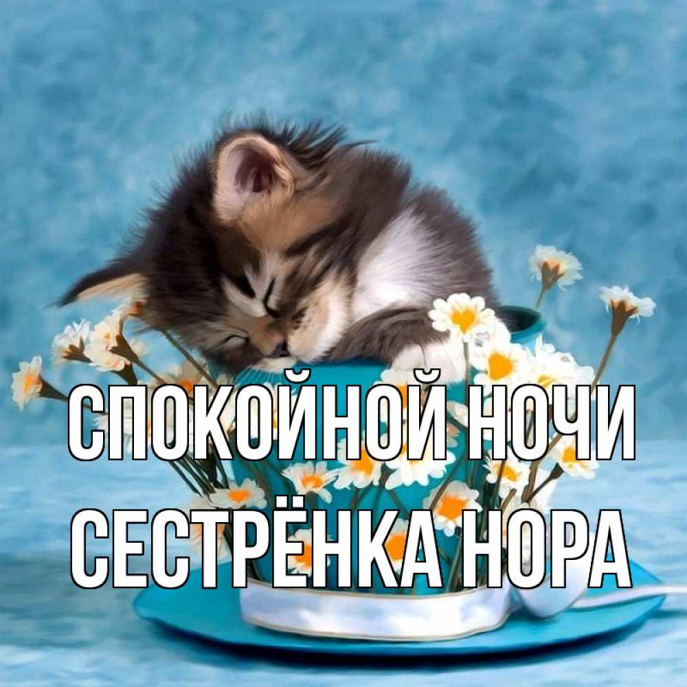 Открытка на каждый день с именем, Сестрёнка-Нора Спокойной ночи котенок спит в кружке с блюдцем Прикольная открытка с пожеланием онлайн скачать бесплатно 