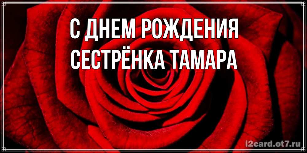 Открытка на каждый день с именем, Сестрёнка-Тамара С днем рождения алая роза Прикольная открытка с пожеланием онлайн скачать бесплатно 