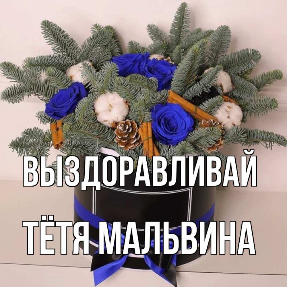 Открытка на каждый день с именем, Тётя-Мальвина Выздоравливай короче кто то загрузил эти шишки Прикольная открытка с пожеланием онлайн скачать бесплатно 