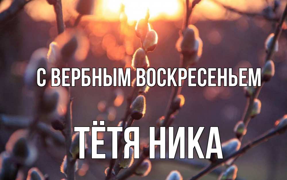 Открытка на каждый день с именем, Тётя-Ника С вербным воскресеньем верба Прикольная открытка с пожеланием онлайн скачать бесплатно 