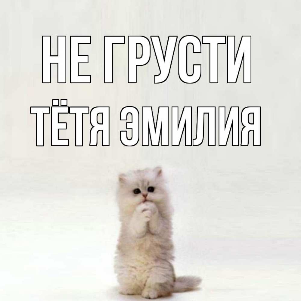 Открытка на каждый день с именем, Тётя-Эмилия Не грусти грустный кот Прикольная открытка с пожеланием онлайн скачать бесплатно 
