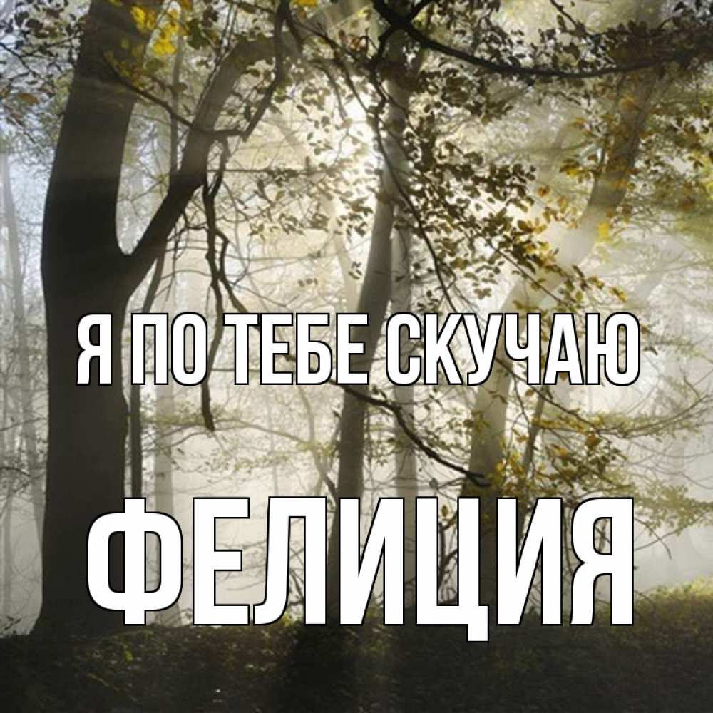 Открытка на каждый день с именем, Фелиция Я по тебе скучаю грустно Прикольная открытка с пожеланием онлайн скачать бесплатно 