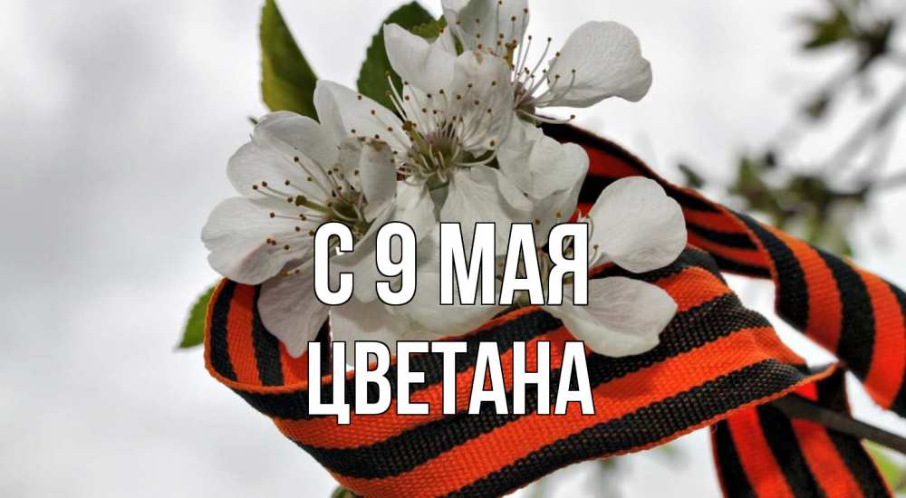 Открытка на каждый день с именем, Цветана С 9 мая 9 мая Прикольная открытка с пожеланием онлайн скачать бесплатно 