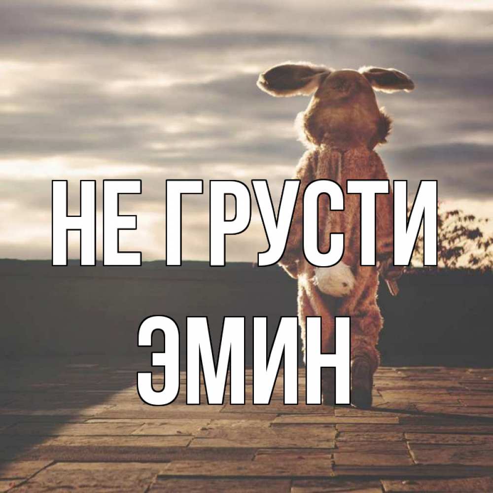 Открытка на каждый день с именем, Эмин Не грусти со спины Прикольная открытка с пожеланием онлайн скачать бесплатно 