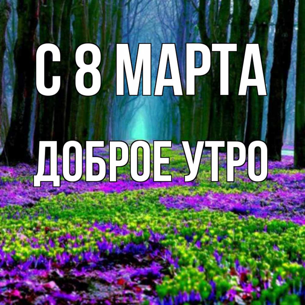 Открытка на каждый день с именем, доброе-утро С 8 марта фиолетовые цветы в лесу 1 Прикольная открытка с пожеланием онлайн скачать бесплатно 