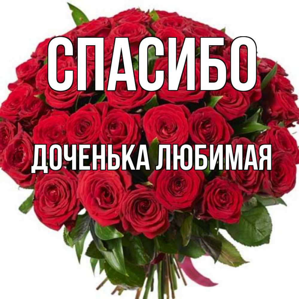 Доча любимая картинки