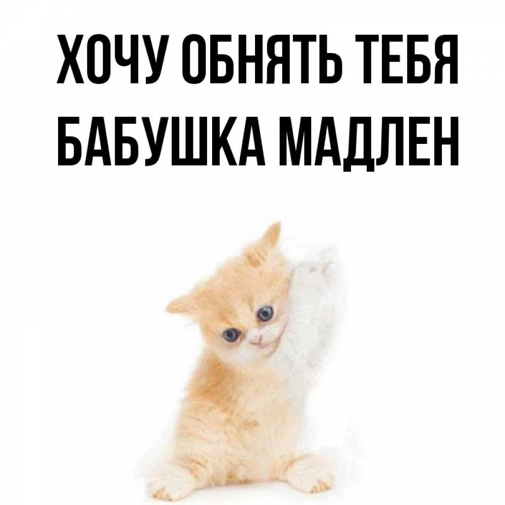 Открытка на каждый день с именем, Бабушка-Мадлен Хочу обнять тебя я хочу очень скорее обнимаешек Прикольная открытка с пожеланием онлайн скачать бесплатно 