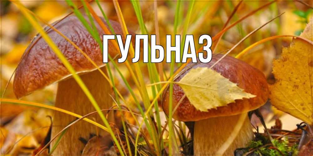 Открытка на каждый день с именем, Гульназ Главная осенние грибы Прикольная открытка с пожеланием онлайн скачать бесплатно 