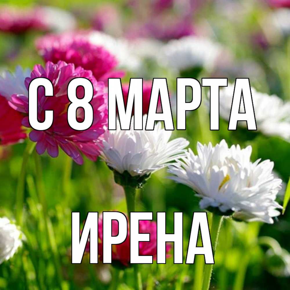 Открытка на каждый день с именем, Ирена С 8 МАРТА международный женский день 1 Прикольная открытка с пожеланием онлайн скачать бесплатно 