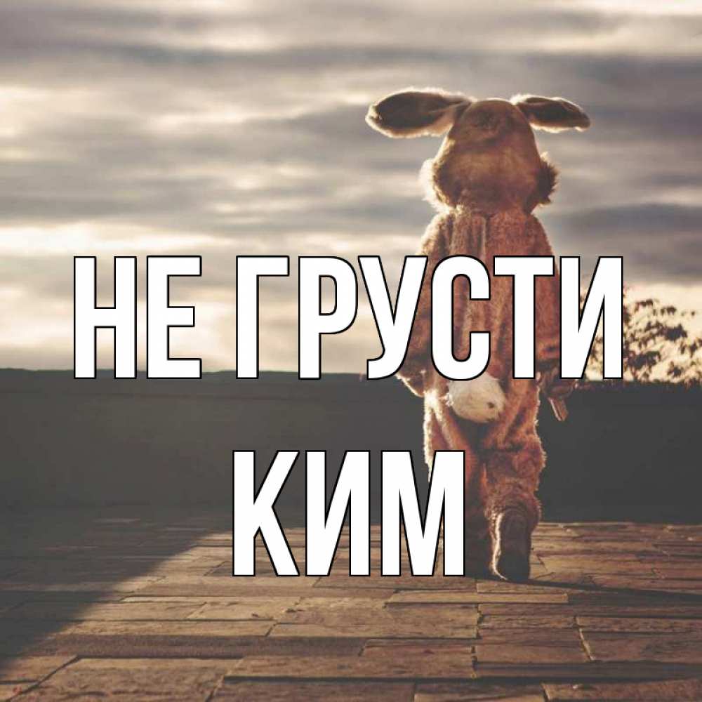 Открытка на каждый день с именем, Ким Не грусти со спины Прикольная открытка с пожеланием онлайн скачать бесплатно 