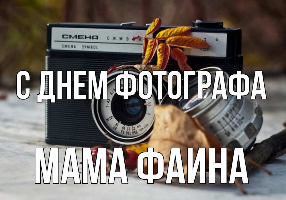 Открытка на каждый день с именем, Мама-Фаина С днем фотографа с днем фотографа Прикольная открытка с пожеланием онлайн скачать бесплатно 