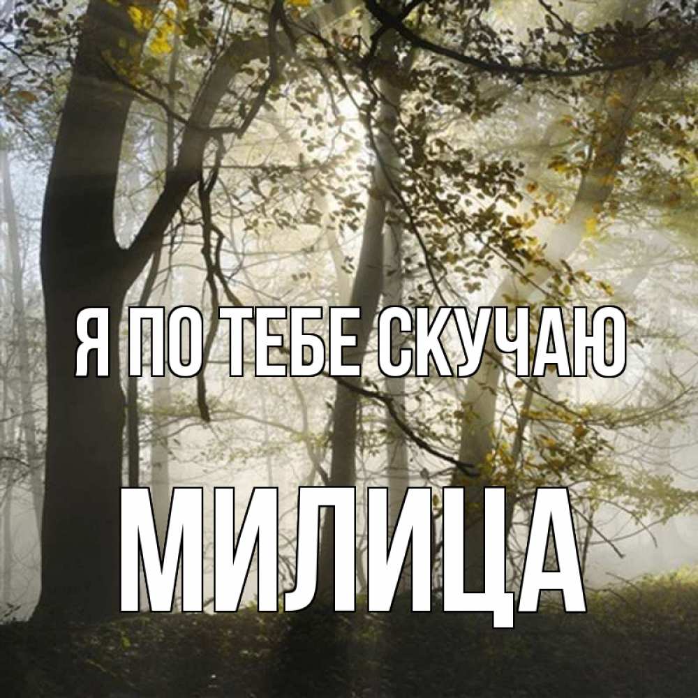 Открытка на каждый день с именем, Милица Я по тебе скучаю грустно Прикольная открытка с пожеланием онлайн скачать бесплатно 