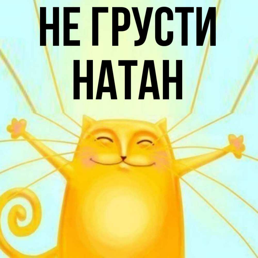 Открытка на каждый день с именем, Натан Не грусти обнимашки усатые Прикольная открытка с пожеланием онлайн скачать бесплатно 